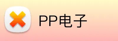 PP电子 logo